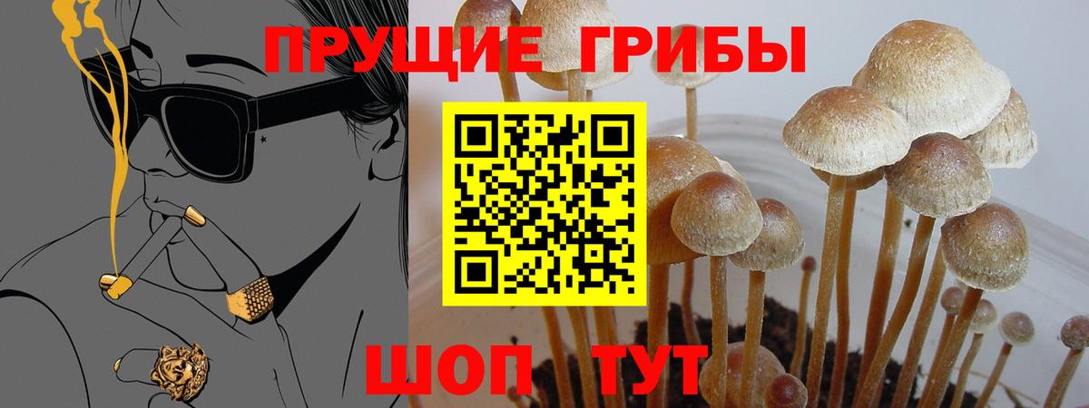 Елец  Галлюциногенные грибы Magic Shrooms  Вход с VPN 